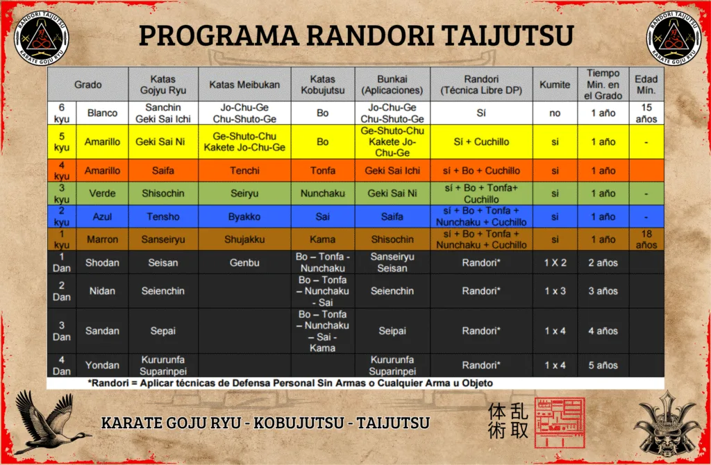 Programa Entrenamiento Randori2